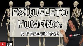 Sistema Esquelético: 5 perguntas