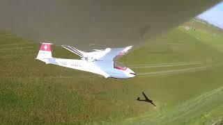 Ka-8 phoenix 3500 rc glider thermal flying