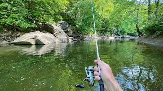 River Fishing for Trout, Bass & Sunfish