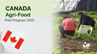 Canada Agri Food Pilot Program 2025