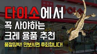 다이소 크레스티드 게코 추천템 정리! 다이소 가기전 필수 시청!