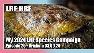 Episode 25: My LRF Species Hunt - Brixham