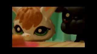 LPS: Waffles