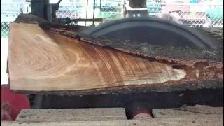 Sawmill demonstration 7 30 11