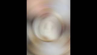 Grooming corgi - PET HUB (Груминг корги)
