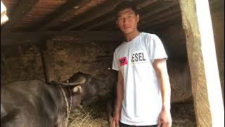 BISHAL MALLA AGRICULTURE and FARM WORKERS