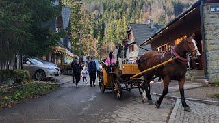 Polonya Zakopane Gezisi, Yöresel yemekler #polonya #zakopane