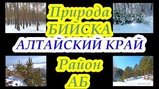 АЛТАЙСКАЯ ПРИРОДА БИЙСК АБ