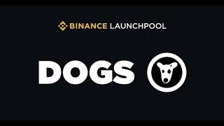 DOGS Binance launchpool announcement