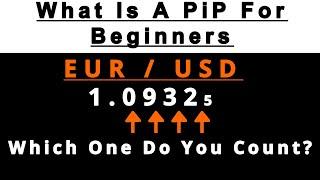 Forex: What Is A Pip (Beginners Must Learn This First)