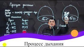 Процесс дыхания. 7 класс.