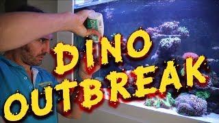 EPIC Tank #4 DINO OUTBREAK! --- Gallery Aquatica TV