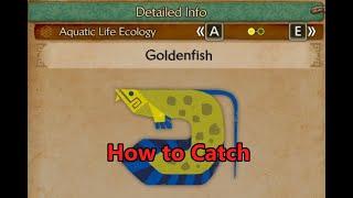 Goldenfish Location in Monster Hunter Wilds