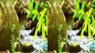 Hawaii's Nature In 3D (Yt3d) 3D Nature