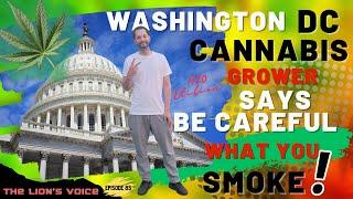 DC CANNABIS GROWER TALKS ABOUT THE BUSINESS OF CANNABIS. (Clip)