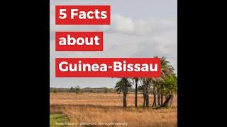 5 Facts about Guinea-Bissau from AFRICA MEMOIR