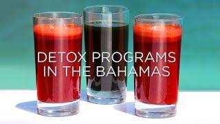 Discover Detox Programs in the Bahamas