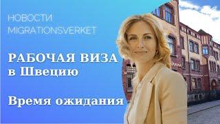 Узнай, почему время ожидания рабочей визы в Швеции такое длинное!