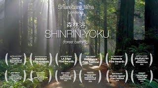 Shinrin-Yoku, (Forest Bathing)