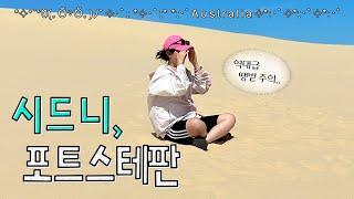 멀리서 봐야 희극.. 시드니 포트스테판 투어️ | 사막 모래 썰매, 돌핀 크루즈 [호주 EP.3]