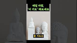 매일 아침, '이 기도' 해보세요  #부처님말씀 #명언 #마음수련 #인생조언 #자기수행