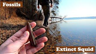 Found Perfect belemnites and other fossils at great lake