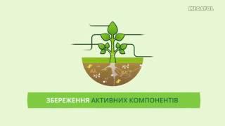 Удобрение Мегафол - лучший биостимулятор для растений