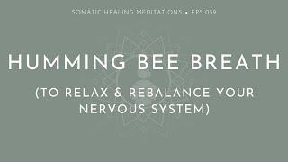 Humming Bee Breath to Relax & Rebalance Your Nervous System (Simple Bhramari Pranayama Practice)