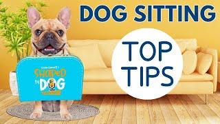 Dog Sitting For A Friend? Top 10 Tips For Fun, Safety And Success #216 #podcast