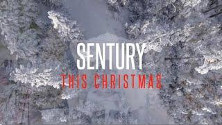 Sentury - This Christmas