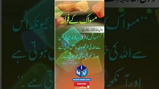 Miswak Karne Ke Fayde l Miswak Ki Fazilat #shortsfeed #shortvideo #viralshorts