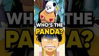 Only 1% of One Piece Fans Noticed THIS!