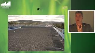 Keynote Address by Steven Peck: 12 Reasons to Invest in Green Roofs