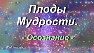 Плоды мудрости  / осознание /. ВЛадиМир Чиж.                  #стих#стихи#познание#поэзия