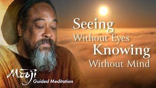 Sehen ohne Augen, wissen ohne Verstand - Geführte Meditation mit Mooji (mit Untertiteln)