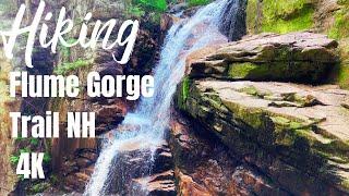 Hiking Flume Gorge Trail | Franconia Notch State Park NH 