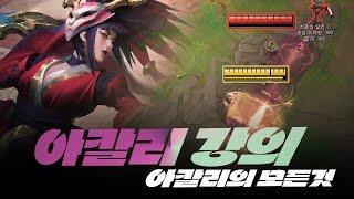 아칼리의 모든것을 담았습니다 【AKALI TIPS】