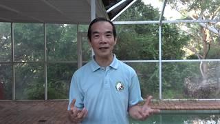 Tai Chi together on the World Tai Chi Qigong Day from different parts of the world