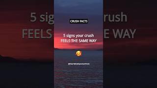 5 signs your crush FEELS THE SAME WAY | Crush Facts and Love Facts #shorts