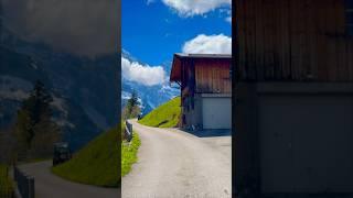 𝗧𝗵𝗶𝘀 𝗶𝘀 Gimmelwald, 𝗦𝘄𝗶𝘁𝘇𝗲𝗿𝗹𝗮𝗻𝗱  #swissalps #switzerland #travel #shorts #nature