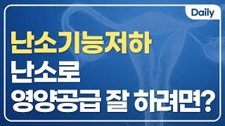 시험관아기 성공률 높이는 팁! 난소로 영양분을 잘 보내줘야 난포가 잘 성장합니다.