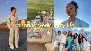 a week in my life VLOG | where i'm moving plans, Dixon's bday, first picnic with friends