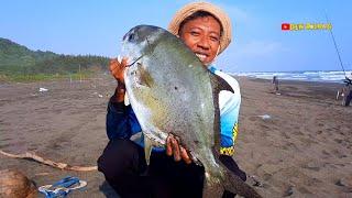 Musim ikan gatho pompano bawal bintang pantai bunton cilacap