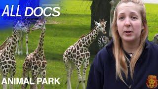 Season Premiere: Special Easter Episode | Animal Park | All Documentary
