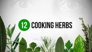 12 Cooking Herbs every Cook should know about !