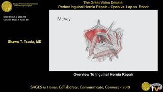 Overview inguinal hernia repair