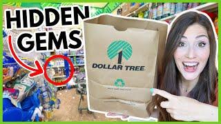 DOLLAR TREE PRODUCTS YOU *NEED* TO KNOW | Hidden Gems of 2022