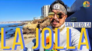 TOP THINGS TO DO IN LA JOLLA CALIFORNIA | San Diego Travel Guide