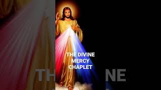 THE DIVINE MERCY CHAPLET | JESUS I TRUST IN YOU ️ #shorts #youtube #catholic #divinemercy  #fyp