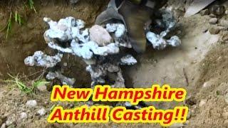 Ant Hill Casting with Molten Aluminum